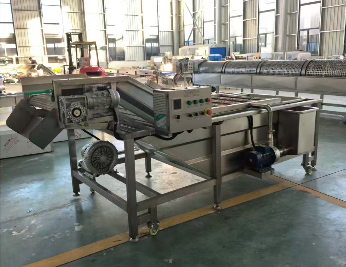 Industrial Air Bubble Fruit & Vegetable Washing Machine