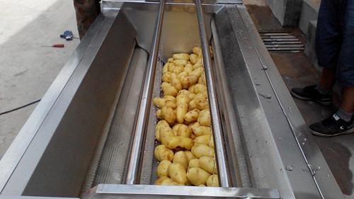 Brush Roller Root Vegetable Washing Machine view 3