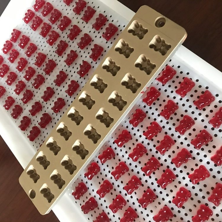 Candy & Lollipop Depositing Production Line view 2