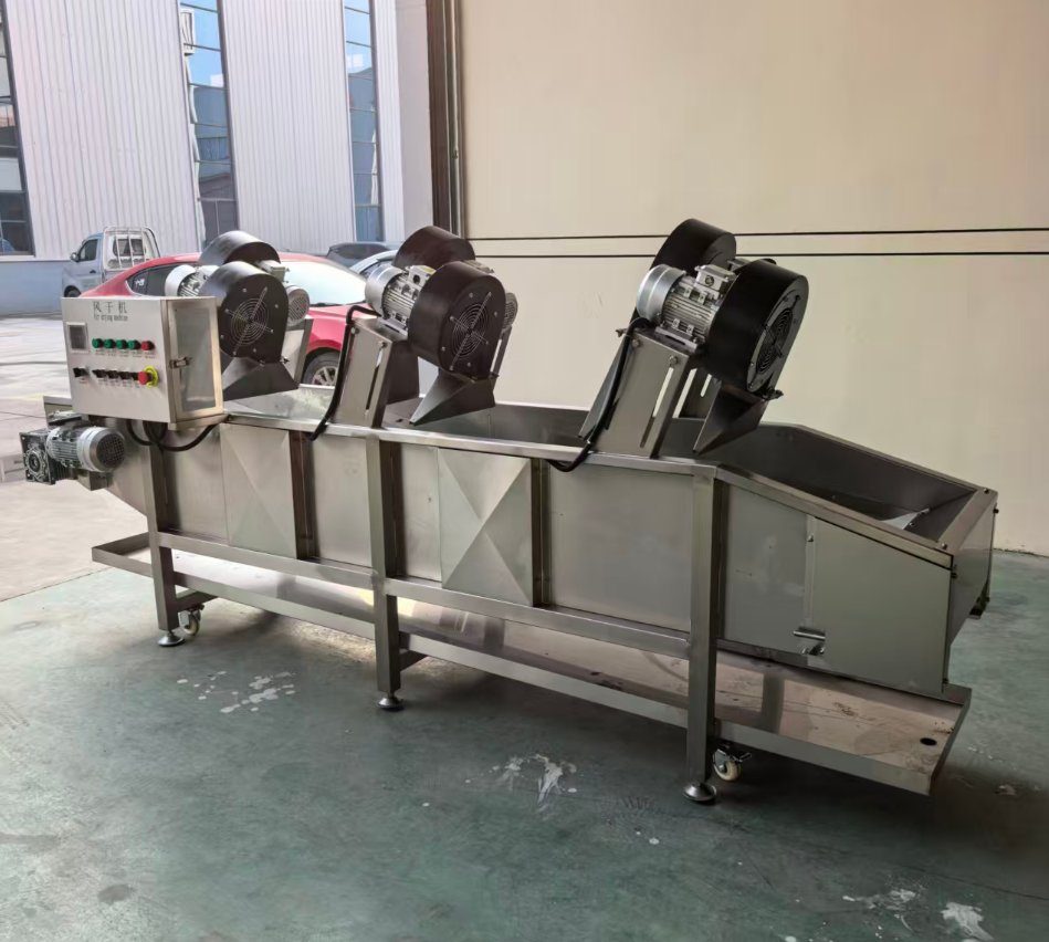 Industrial Air Bubble Fruit & Vegetable Washing Machine view 2