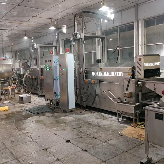Snack Food Frying Lines